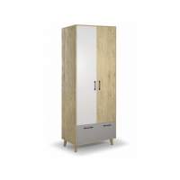 Бенедикт М1 шкаф 2-дверный Дуб ирландский/серо-белый