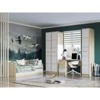 Детская Фанк 6 дуб Сонома/белый