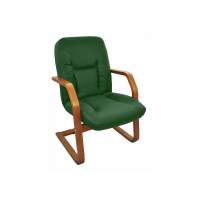 Кресло Танго 2ДС светлый орех/зеленый