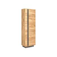 Арчи шкаф комбинированный 10.05 Дуб крафт золотой / Камень темный