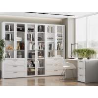 Библиотека Орлеан 2 Белый