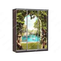 Шкаф купе Модерн 1776х450 3-х дверный 2-х секционный фотопечать №3 венге