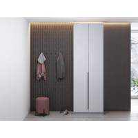 Брандо шкаф для одежды 67.14 ЛДСП Белый