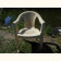 Кресло пластиковое «Фламинго»