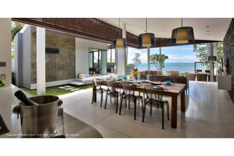 Стул прозрачный Queen PEDRALI серый-7