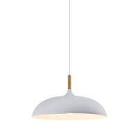 Светильник подвесной Moderli V11447-1P Hygo