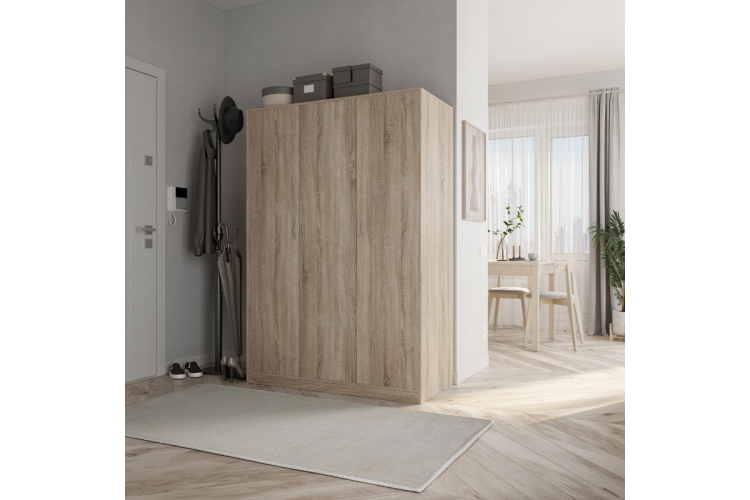 2.01.01.030.3 ОРИОН шкаф "3 двери сонома"-3