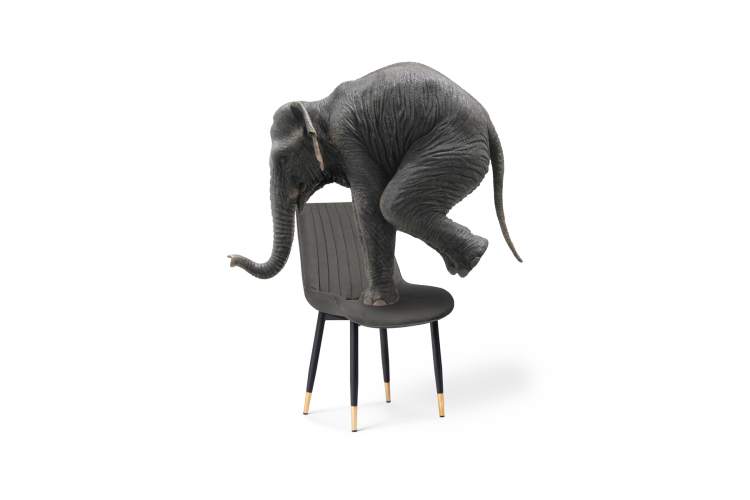 Стул на металлокаркасе Seda-1 dark gray / gold / black-7