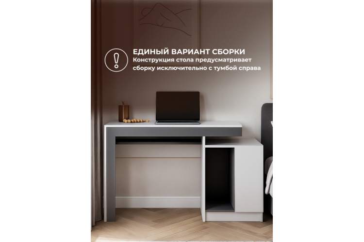 Компьютерный стол Модена белый / графит-6