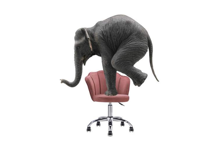 Офисное кресло Bud pink-15