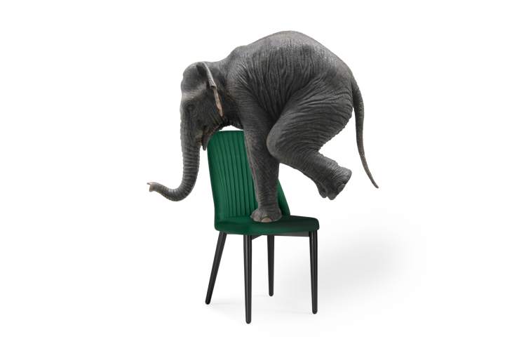 Стул на металлокаркасе Фена R зеленый / черный-8