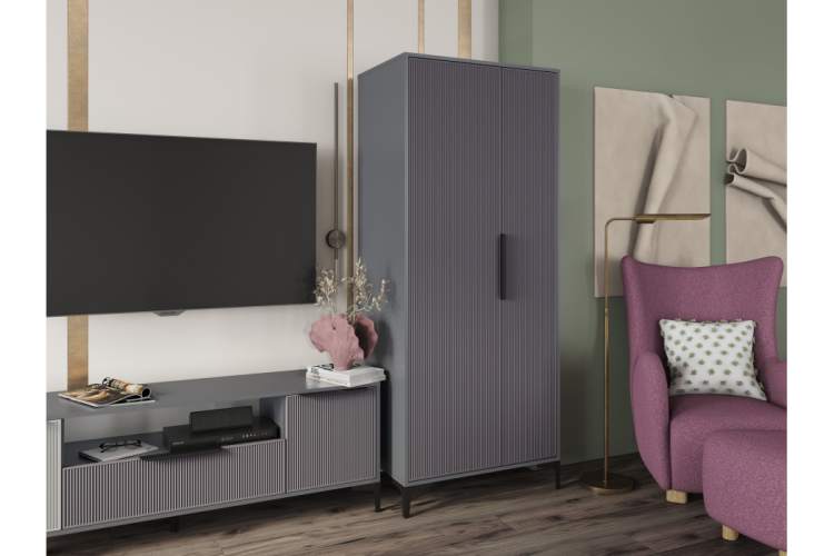 Шкаф Иадама двухстворчатый графит / графит софт-4