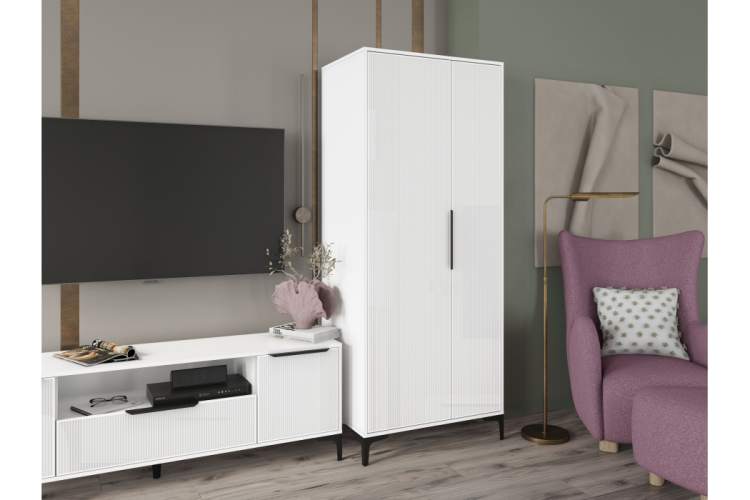 Шкаф Иадама двухстворчатый белый / белый глянец-4