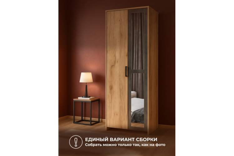 Шкаф Taika дуб золотой / камень темный-5