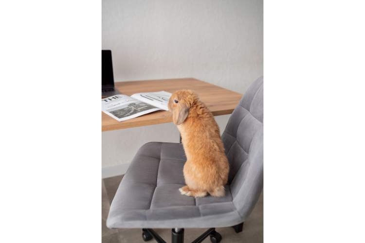 Стол деревянный Лиман 140 х 80 дуб крафт золотой / черный матовый-15