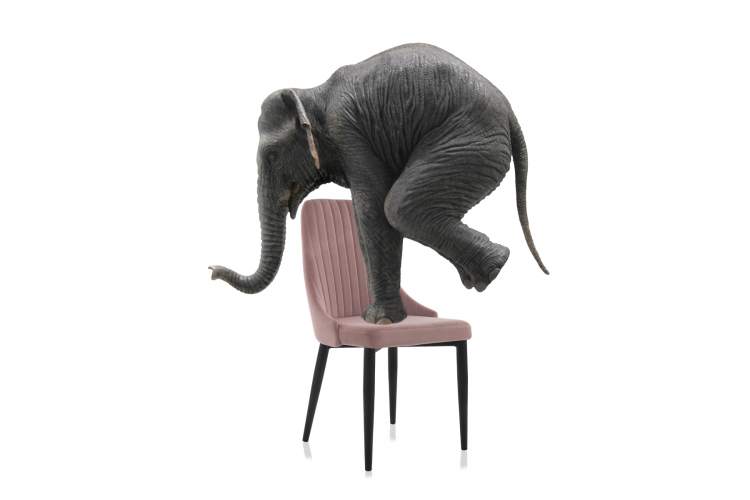 Стул на металлокаркасе Kora light purple / black-12