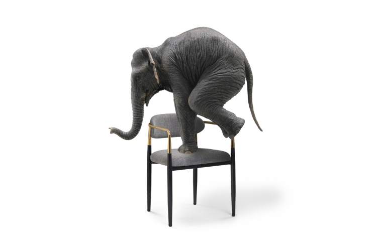 Стул на металлокаркасе Lord gray / black / gold-11