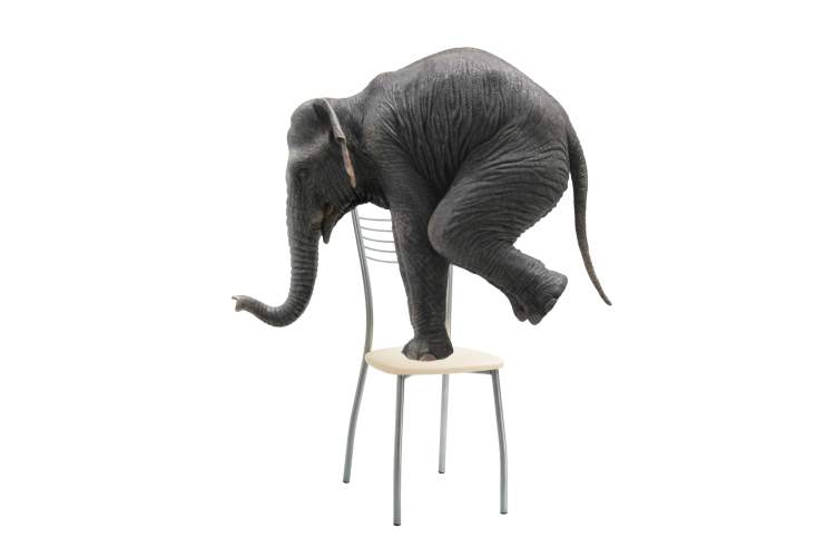 Стул на металлокаркасе Goki ваниль крап / светлый мусс-16