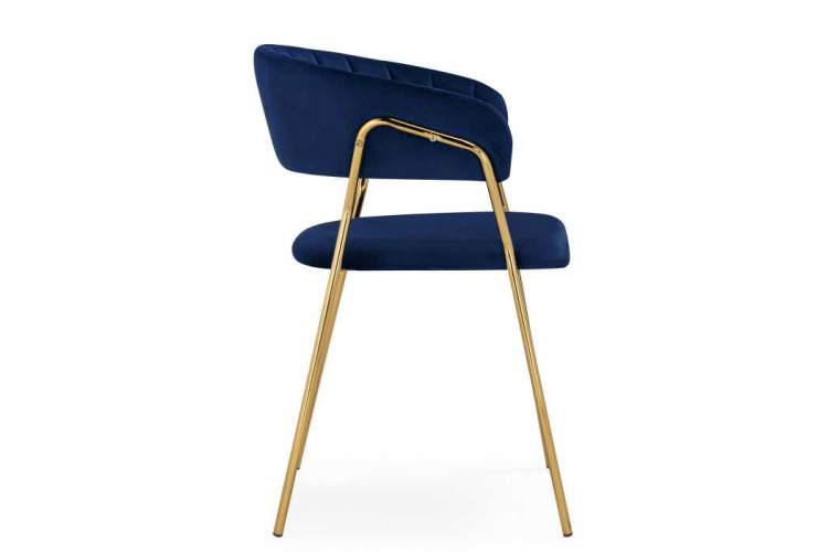Стул на металлокаркасе Kamelia 1 dark blue / gold-2