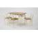 Стол Сканди 120, Слоновая кость/Натуральное дерево