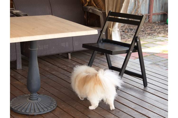 Складной стул Даччи венге-32