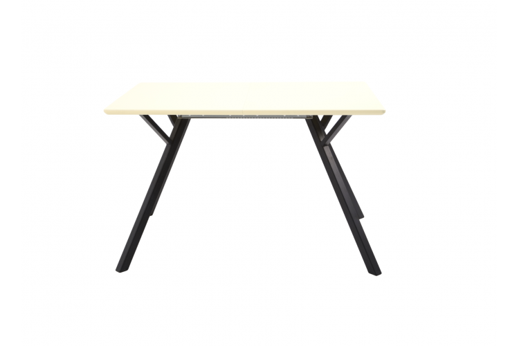 Стол Столли 120 чёрный /слоновая кость-5